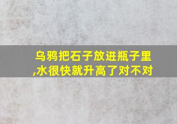 乌鸦把石子放进瓶子里,水很快就升高了对不对