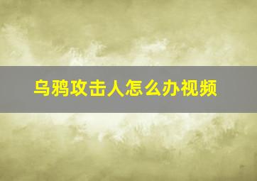 乌鸦攻击人怎么办视频