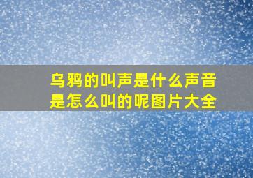 乌鸦的叫声是什么声音是怎么叫的呢图片大全