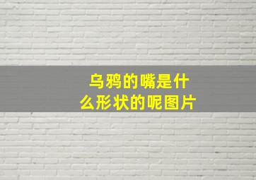 乌鸦的嘴是什么形状的呢图片