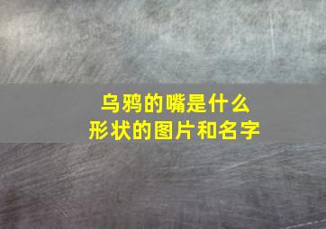 乌鸦的嘴是什么形状的图片和名字