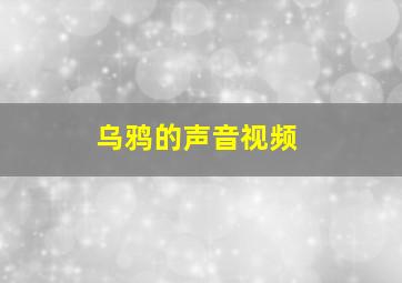 乌鸦的声音视频