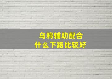 乌鸦辅助配合什么下路比较好