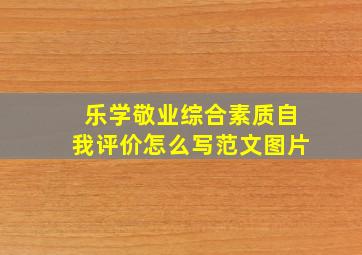 乐学敬业综合素质自我评价怎么写范文图片