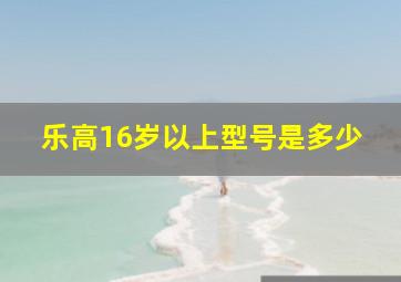 乐高16岁以上型号是多少