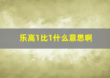 乐高1比1什么意思啊