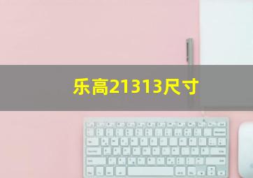 乐高21313尺寸