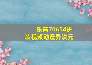 乐高70654拼装视频动漫异次元