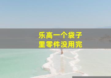 乐高一个袋子里零件没用完