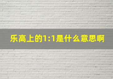 乐高上的1:1是什么意思啊