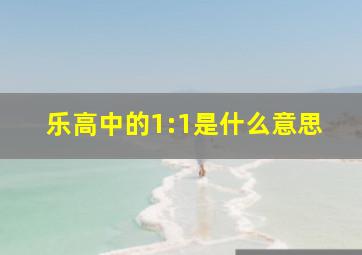 乐高中的1:1是什么意思