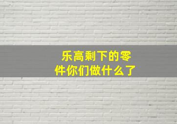 乐高剩下的零件你们做什么了