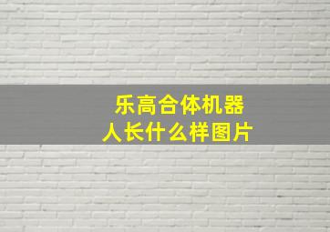 乐高合体机器人长什么样图片