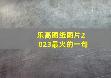 乐高图纸图片2023最火的一句