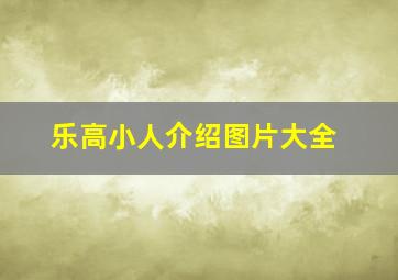 乐高小人介绍图片大全