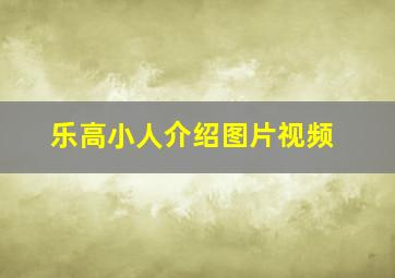 乐高小人介绍图片视频