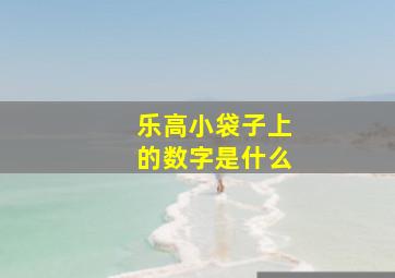 乐高小袋子上的数字是什么