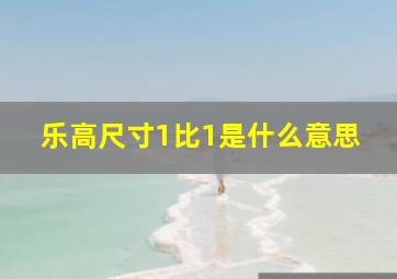 乐高尺寸1比1是什么意思