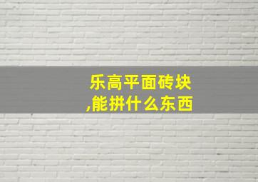 乐高平面砖块,能拼什么东西