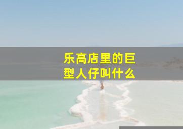 乐高店里的巨型人仔叫什么