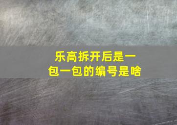 乐高拆开后是一包一包的编号是啥