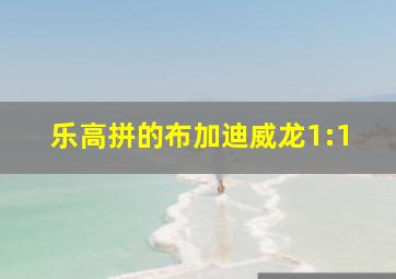 乐高拼的布加迪威龙1:1