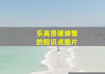 乐高搭建螃蟹的知识点图片