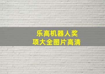 乐高机器人奖项大全图片高清