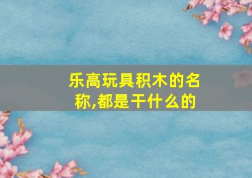 乐高玩具积木的名称,都是干什么的