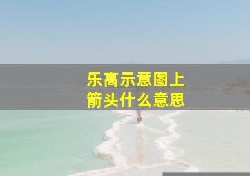 乐高示意图上箭头什么意思