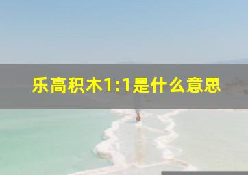 乐高积木1:1是什么意思