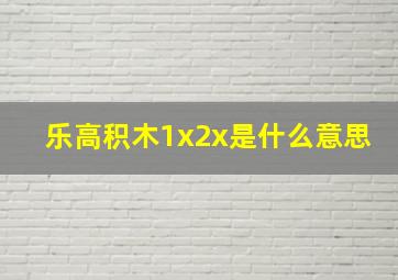 乐高积木1x2x是什么意思