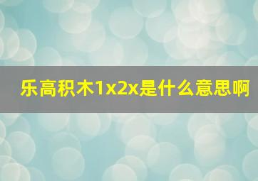 乐高积木1x2x是什么意思啊