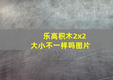 乐高积木2x2大小不一样吗图片