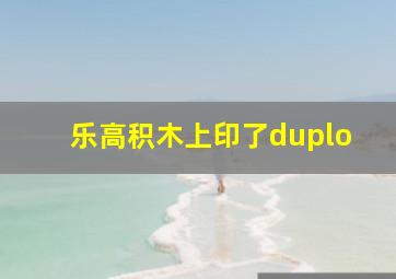 乐高积木上印了duplo