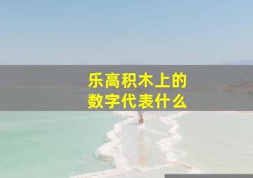 乐高积木上的数字代表什么