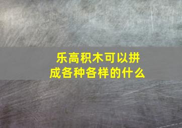 乐高积木可以拼成各种各样的什么