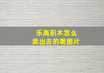 乐高积木怎么卖出去的呢图片