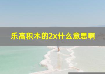 乐高积木的2x什么意思啊