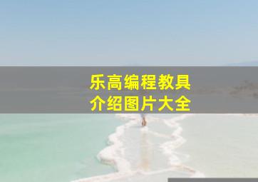 乐高编程教具介绍图片大全