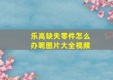 乐高缺失零件怎么办呢图片大全视频