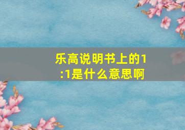 乐高说明书上的1:1是什么意思啊