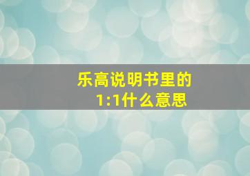 乐高说明书里的1:1什么意思