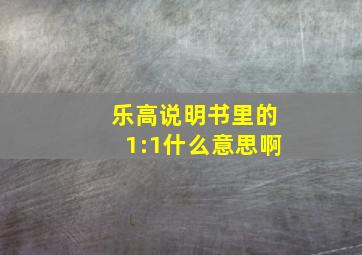 乐高说明书里的1:1什么意思啊