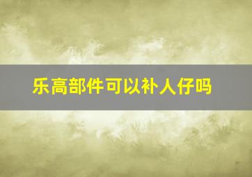 乐高部件可以补人仔吗