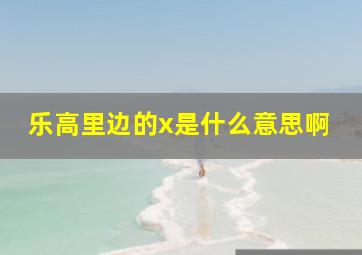 乐高里边的x是什么意思啊