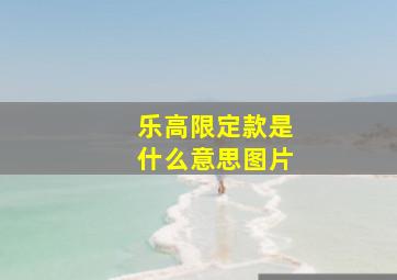 乐高限定款是什么意思图片