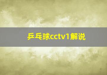 乒乓球cctv1解说