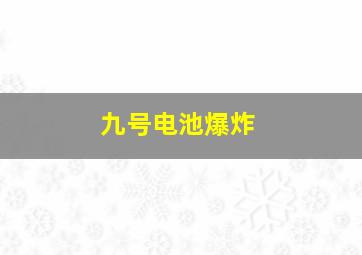 九号电池爆炸