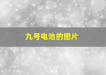 九号电池的图片